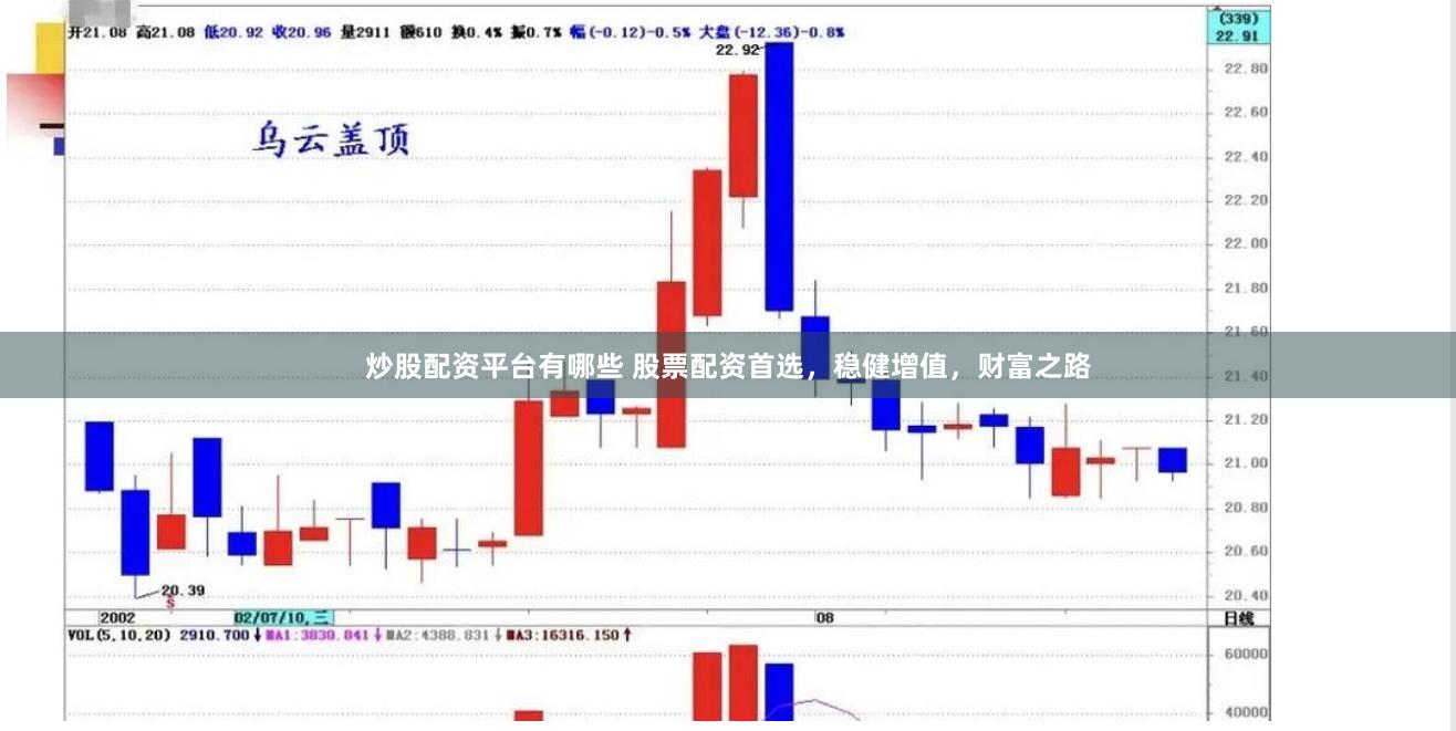 炒股配资平台有哪些 股票配资首选，稳健增值，财富之路