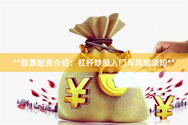 **股票配资介绍：杠杆炒股入门与风险须知**