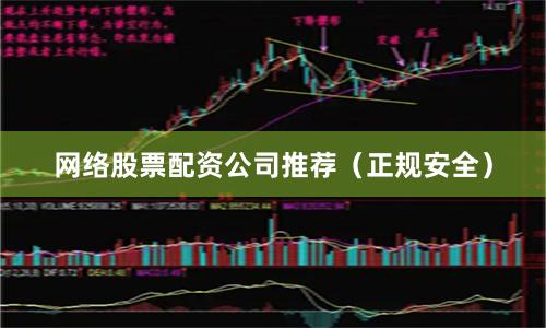 网络股票配资公司推荐（正规安全）